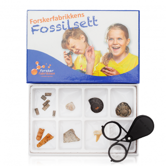 fossilsett