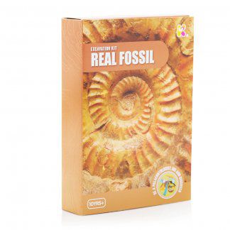 Fossilutgravingssett
