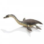 Plesiosaurus - Havets kjempe