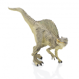 Triceratops