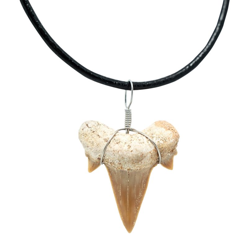 Smykke med fossil haitann – Otodus
