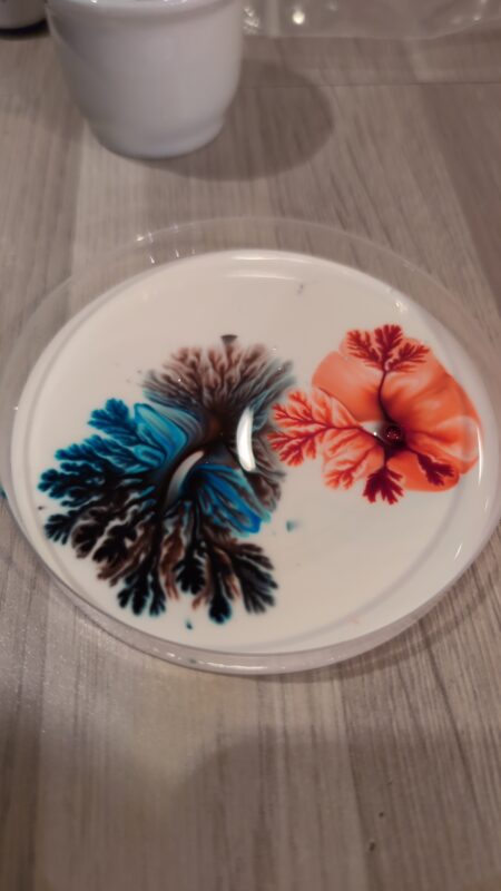 Image #1 from Anita Hjartholm