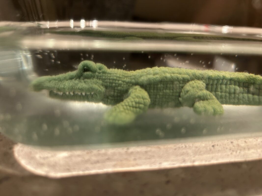 Image #2 from Kine Kronkvist